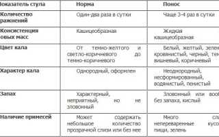 Причины жидкого стула у взрослого — диагностика нарушений в организме, лечение и диета