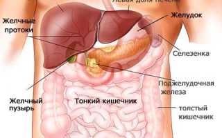Где находится желчный пузырь и как болит, чем лечить, какая диета